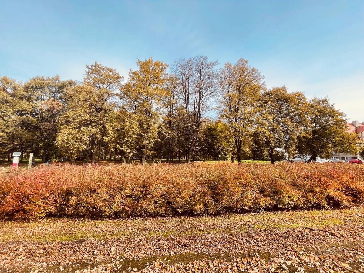 Ktw Park śląski