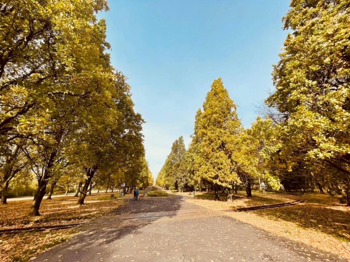 Ktw Park śląski