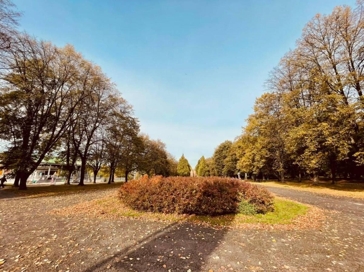 Ktw Park śląski *